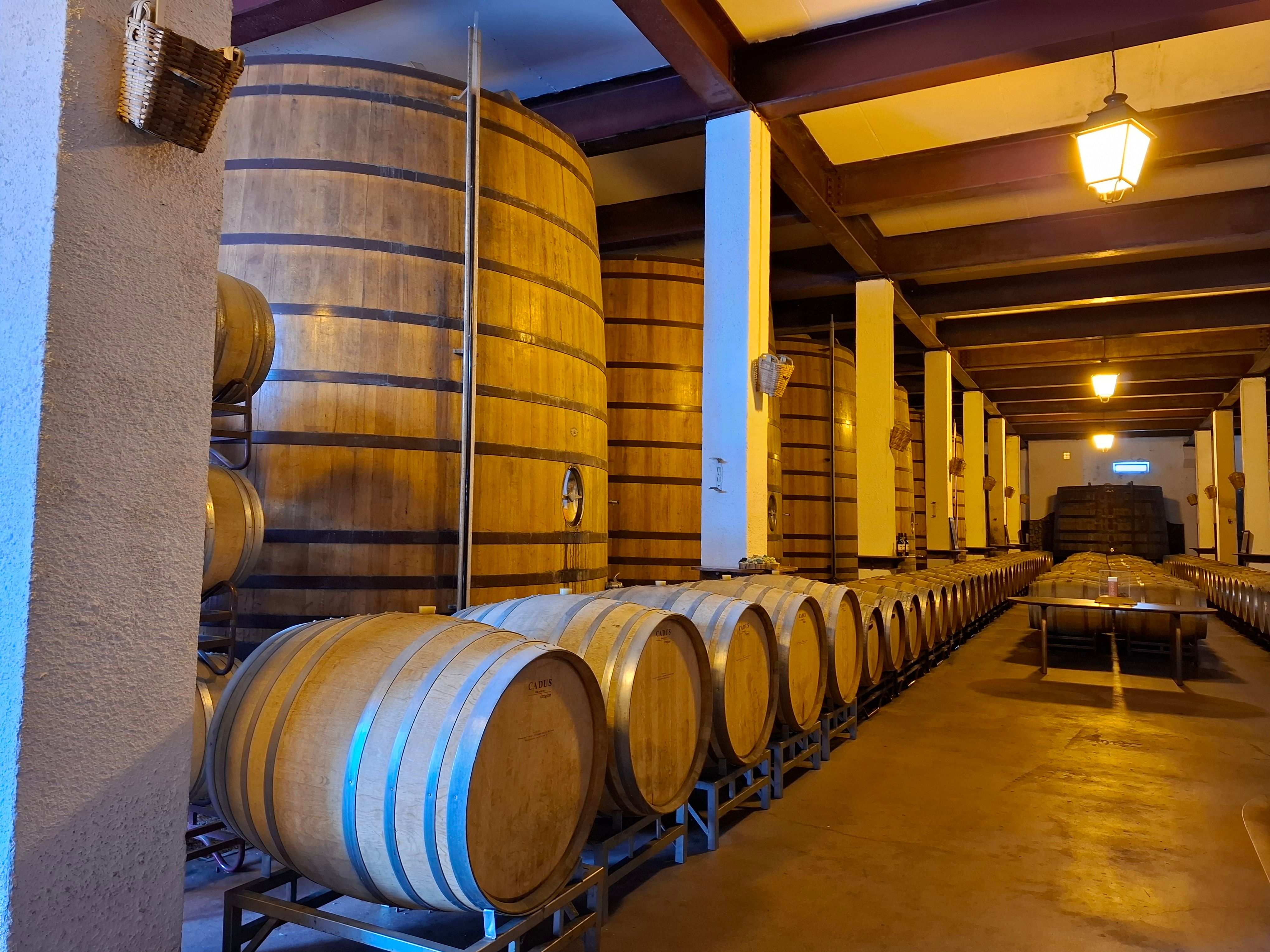 Tequileras de México
